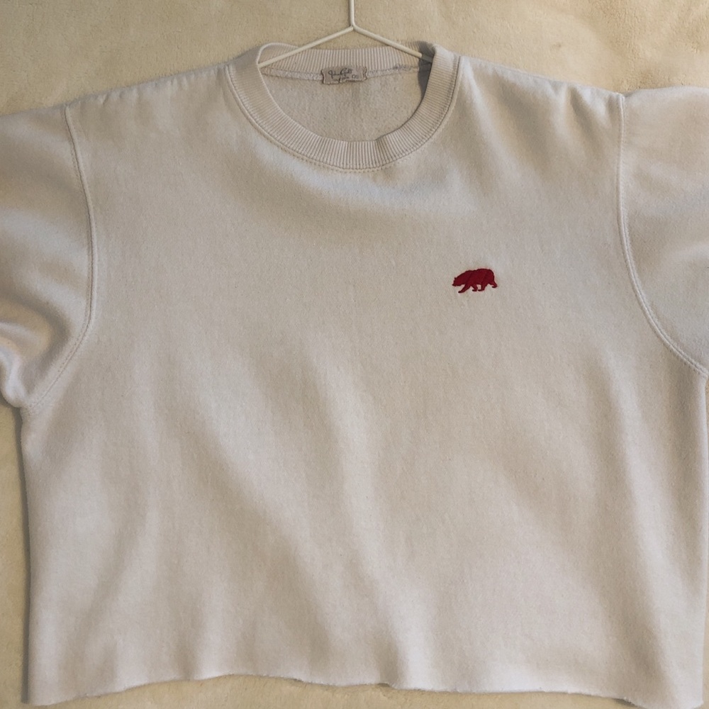 BRANDY MELVILLE CROPPED SWEATER
